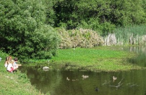 The LaHonda Duck Pond, complete with the basics. Ducks, ducklings & children!