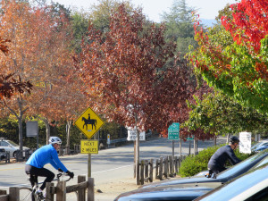 A picture with potential; you only notice all the colors afterward. I was trying to get cyclists going past the bike route sign and entirely missed the real beauty. Need to go back and recompose.